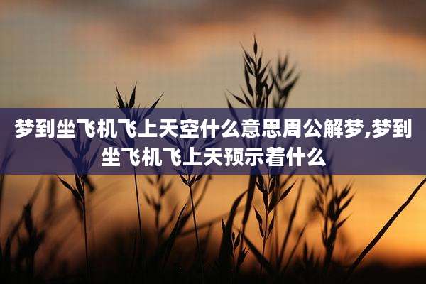 梦到坐飞机飞上天空什么意思周公解梦,梦到坐飞机飞上天预示着什么