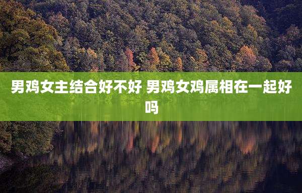 男鸡女主结合好不好 男鸡女鸡属相在一起好吗
