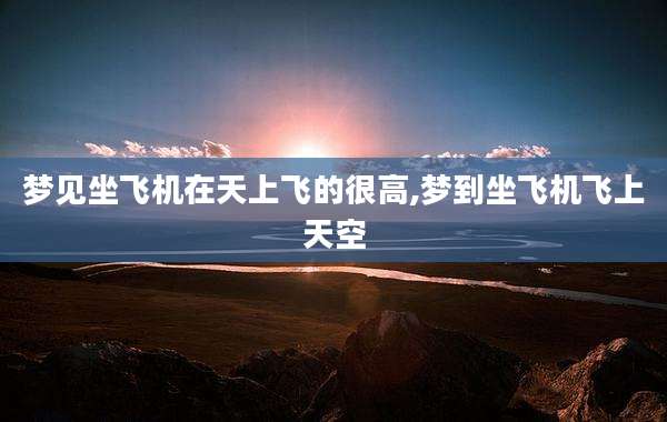 梦见坐飞机在天上飞的很高,梦到坐飞机飞上天空