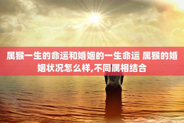 属猴一生的命运和婚姻的一生命运 属猴的婚姻状况怎么样,不同属相结合