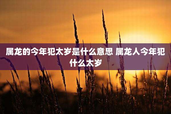 属龙的今年犯太岁是什么意思 属龙人今年犯什么太岁
