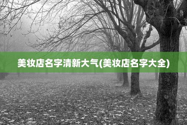 美妆店名字清新大气(美妆店名字大全)