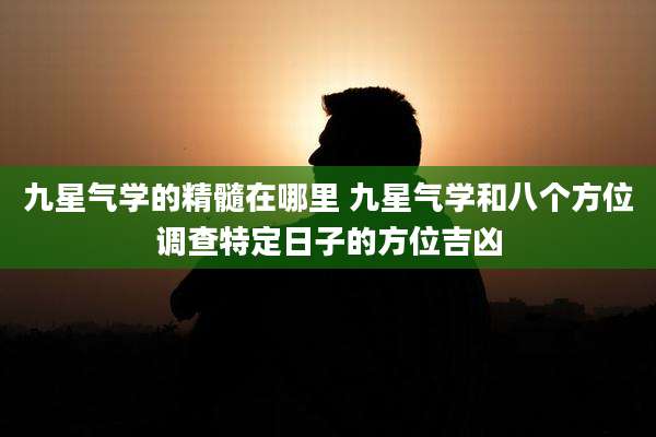 九星气学的精髓在哪里 九星气学和八个方位调查特定日子的方位吉凶