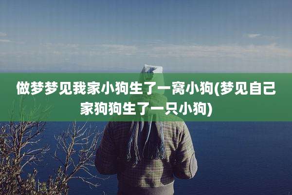 做梦梦见我家小狗生了一窝小狗(梦见自己家狗狗生了一只小狗)