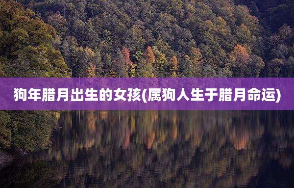 狗年腊月出生的女孩(属狗人生于腊月命运)