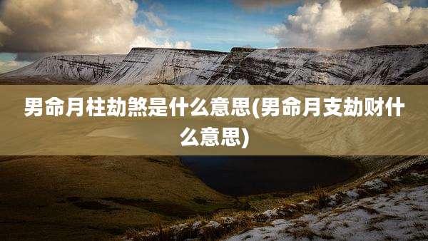 男命月柱劫煞是什么意思(男命月支劫财什么意思)