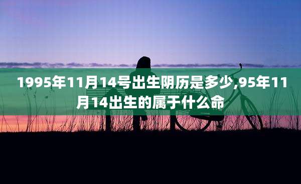 1995年11月14号出生阴历是多少,95年11月14出生的属于什么命