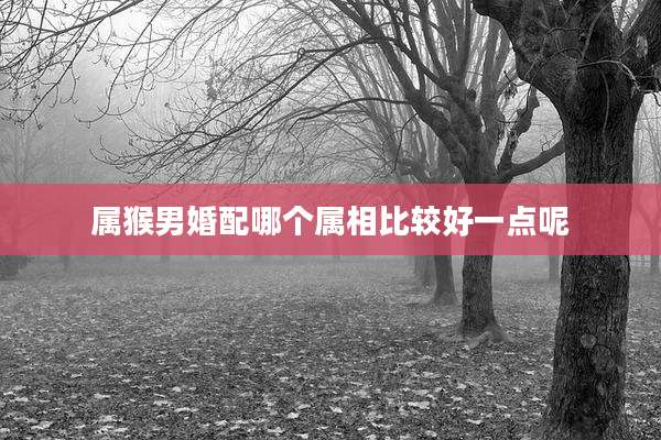 属猴男婚配哪个属相比较好一点呢