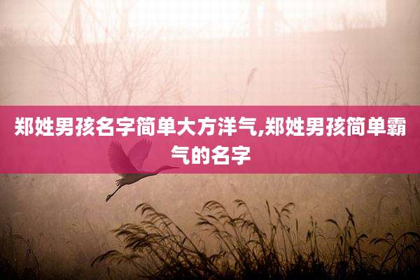 郑姓男孩名字简单大方洋气,郑姓男孩简单霸气的名字
