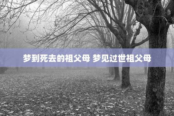 梦到死去的祖父母 梦见过世祖父母