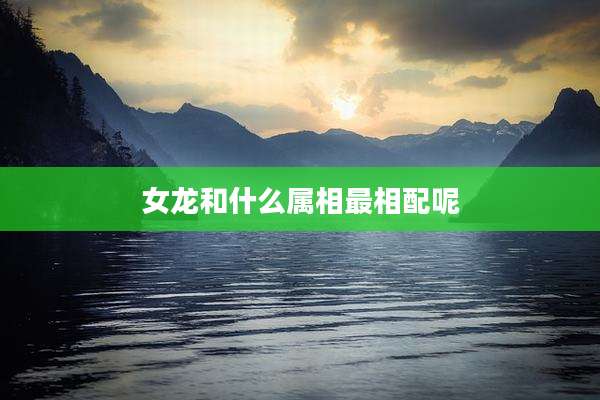 女龙和什么属相最相配呢
