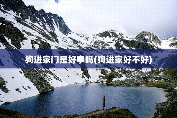 狗进家门是好事吗(狗进家好不好)