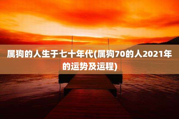 属狗的人生于七十年代(属狗70的人2021年的运势及运程)
