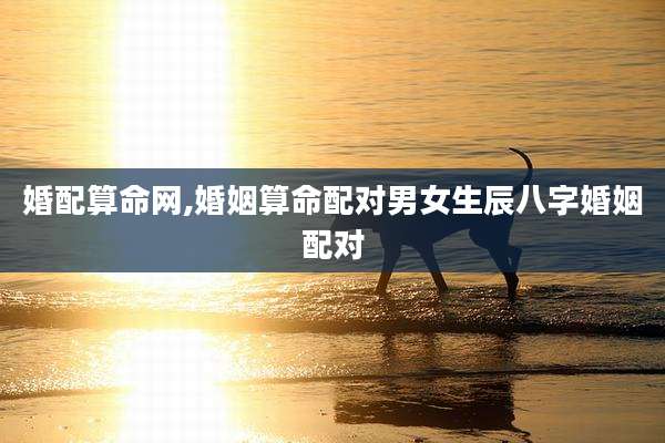 婚配算命网,婚姻算命配对男女生辰八字婚姻配对