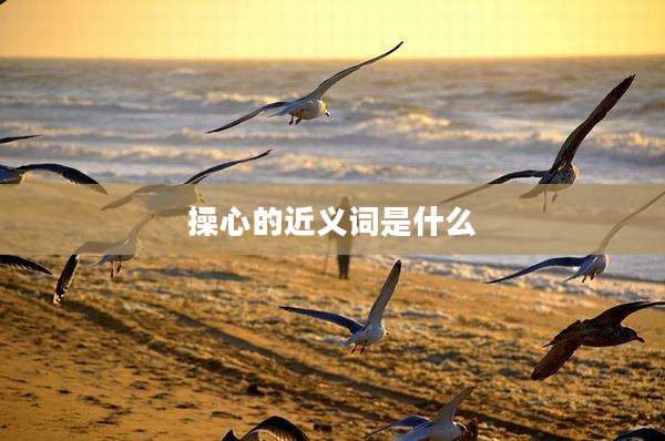 操心的近义词是什么