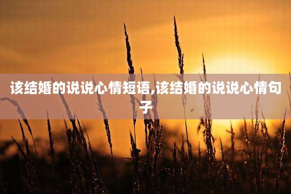 该结婚的说说心情短语,该结婚的说说心情句子
