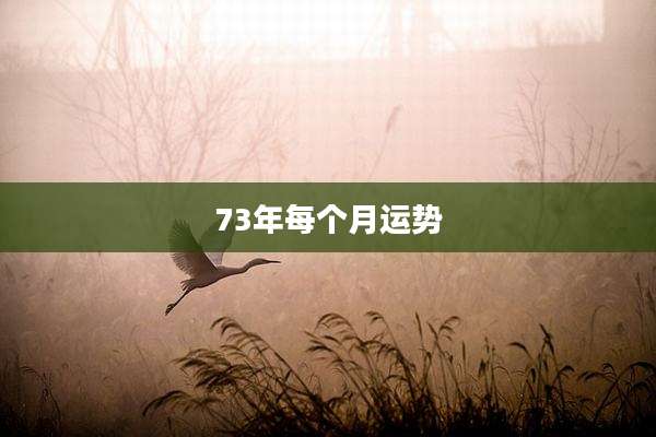 73年每个月运势