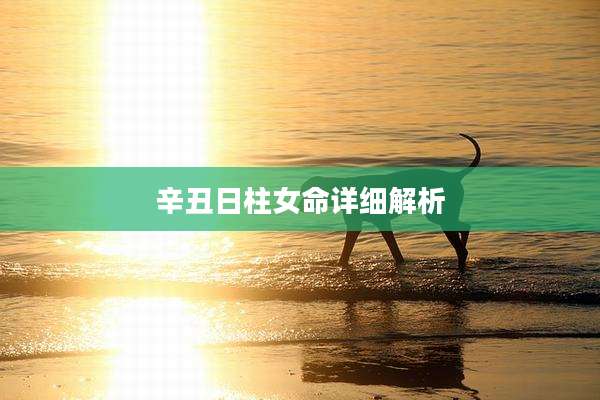 辛丑日柱女命详细解析