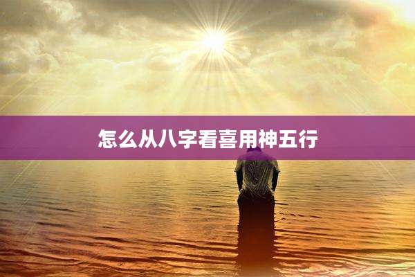 怎么从八字看喜用神五行