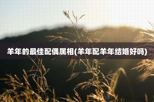 羊年的最佳配偶属相(羊年配羊年结婚好吗)