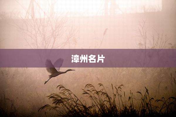 漳州名片