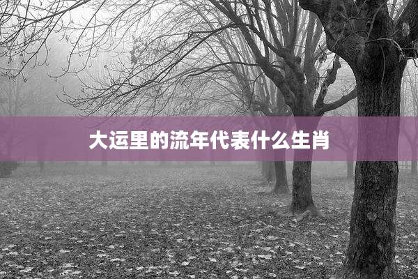 大运里的流年代表什么生肖