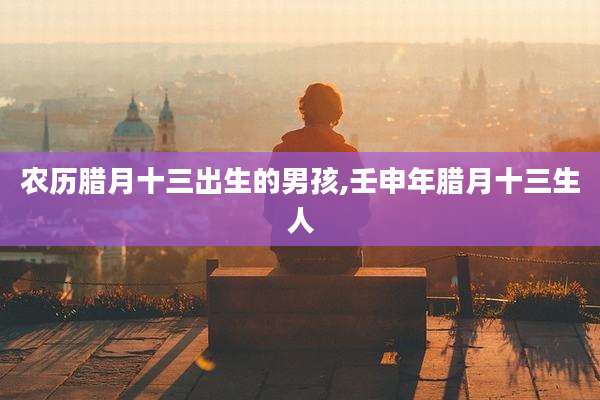 农历腊月十三出生的男孩,壬申年腊月十三生人