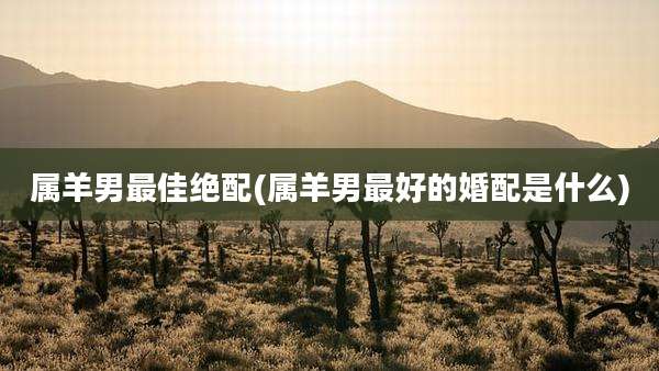 属羊男最佳绝配(属羊男最好的婚配是什么)