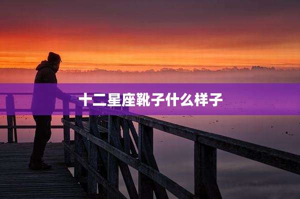 十二星座靴子什么样子