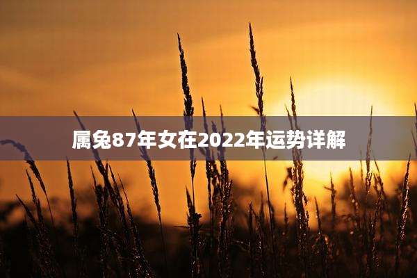 属兔87年女在2022年运势详解