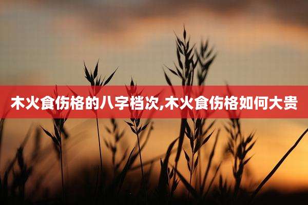 木火食伤格的八字档次,木火食伤格如何大贵
