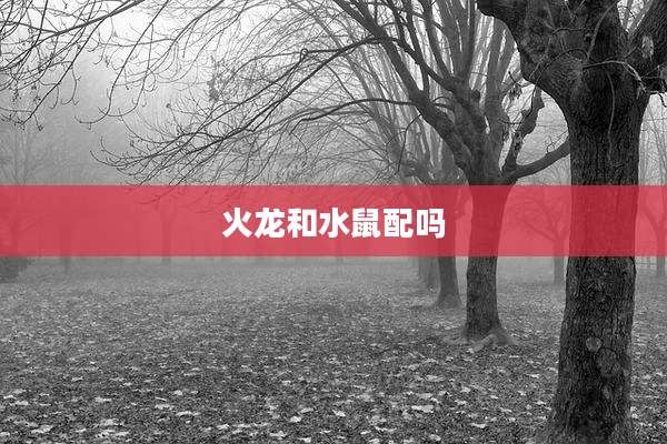 火龙和水鼠配吗