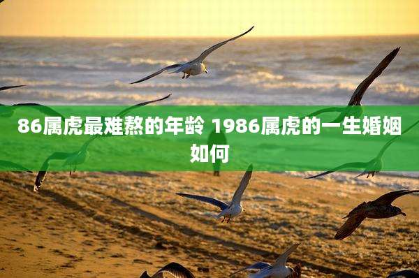 86属虎最难熬的年龄 1986属虎的一生婚姻如何