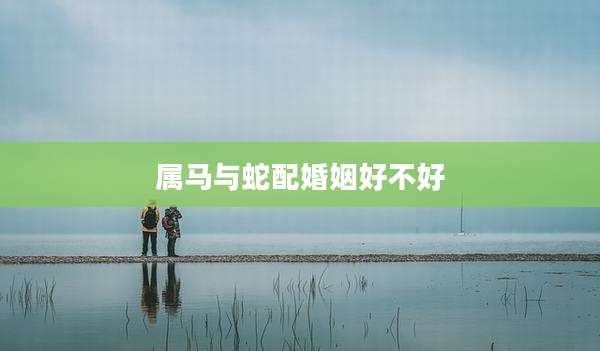 属马与蛇配婚姻好不好