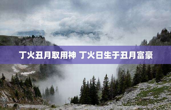 丁火丑月取用神 丁火日生于丑月富豪
