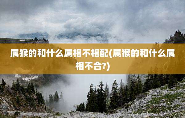 属猴的和什么属相不相配(属猴的和什么属相不合?)