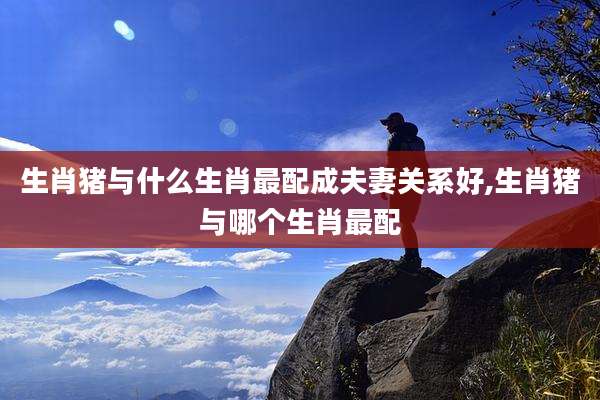 生肖猪与什么生肖最配成夫妻关系好,生肖猪与哪个生肖最配