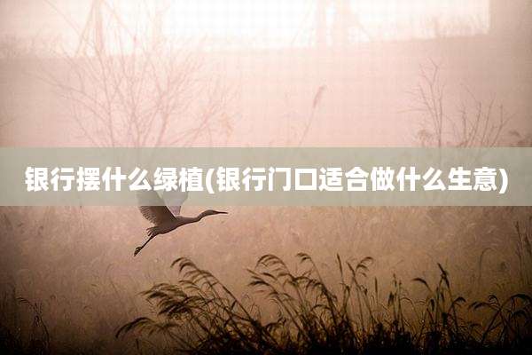 银行摆什么绿植(银行门口适合做什么生意)