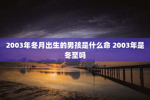 2003年冬月出生的男孩是什么命 2003年是冬至吗