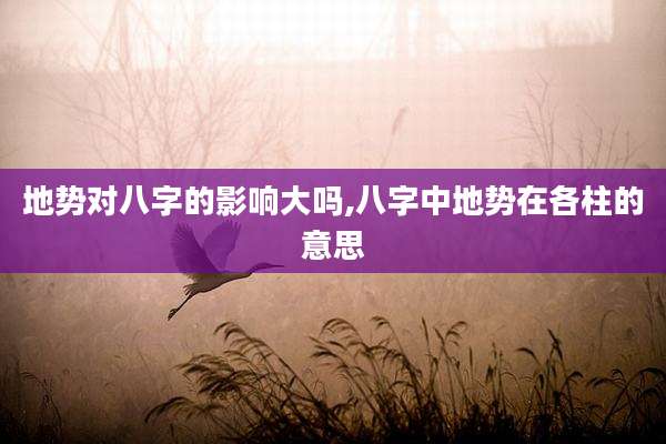 地势对八字的影响大吗,八字中地势在各柱的意思