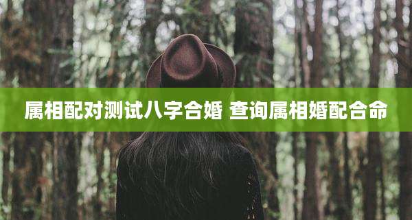 属相配对测试八字合婚 查询属相婚配合命