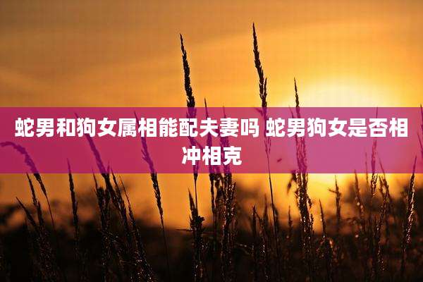 蛇男和狗女属相能配夫妻吗 蛇男狗女是否相冲相克