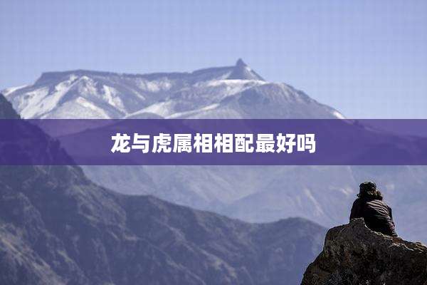 龙与虎属相相配最好吗