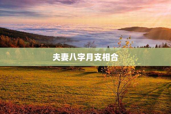 夫妻八字月支相合