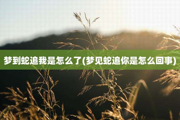 梦到蛇追我是怎么了(梦见蛇追你是怎么回事)