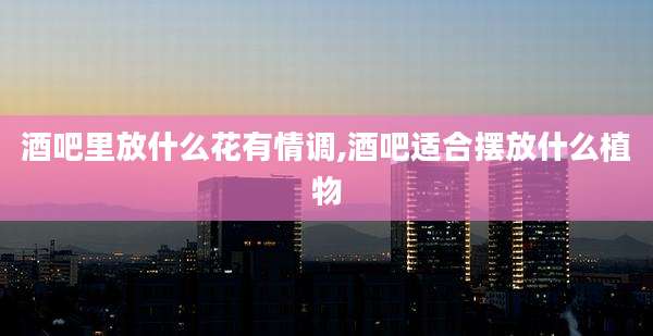 酒吧里放什么花有情调,酒吧适合摆放什么植物