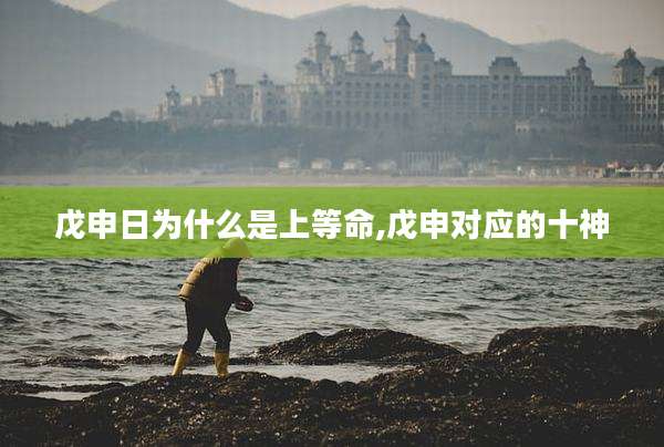 戊申日为什么是上等命,戊申对应的十神