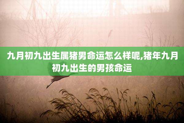 九月初九出生属猪男命运怎么样呢,猪年九月初九出生的男孩命运