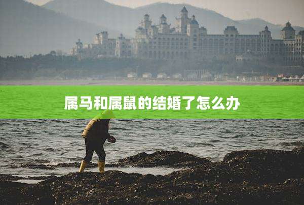 属马和属鼠的结婚了怎么办