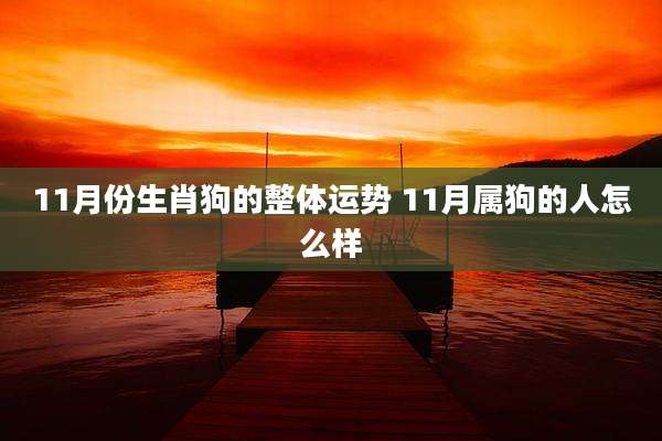 11月份生肖狗的整体运势 11月属狗的人怎么样